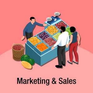 市场营销和销售